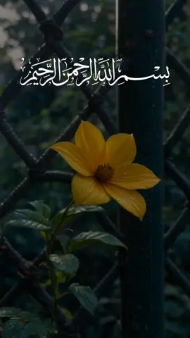 A post by @woo624 on TikTok