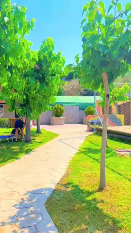 A post by @kalbi7 on TikTok