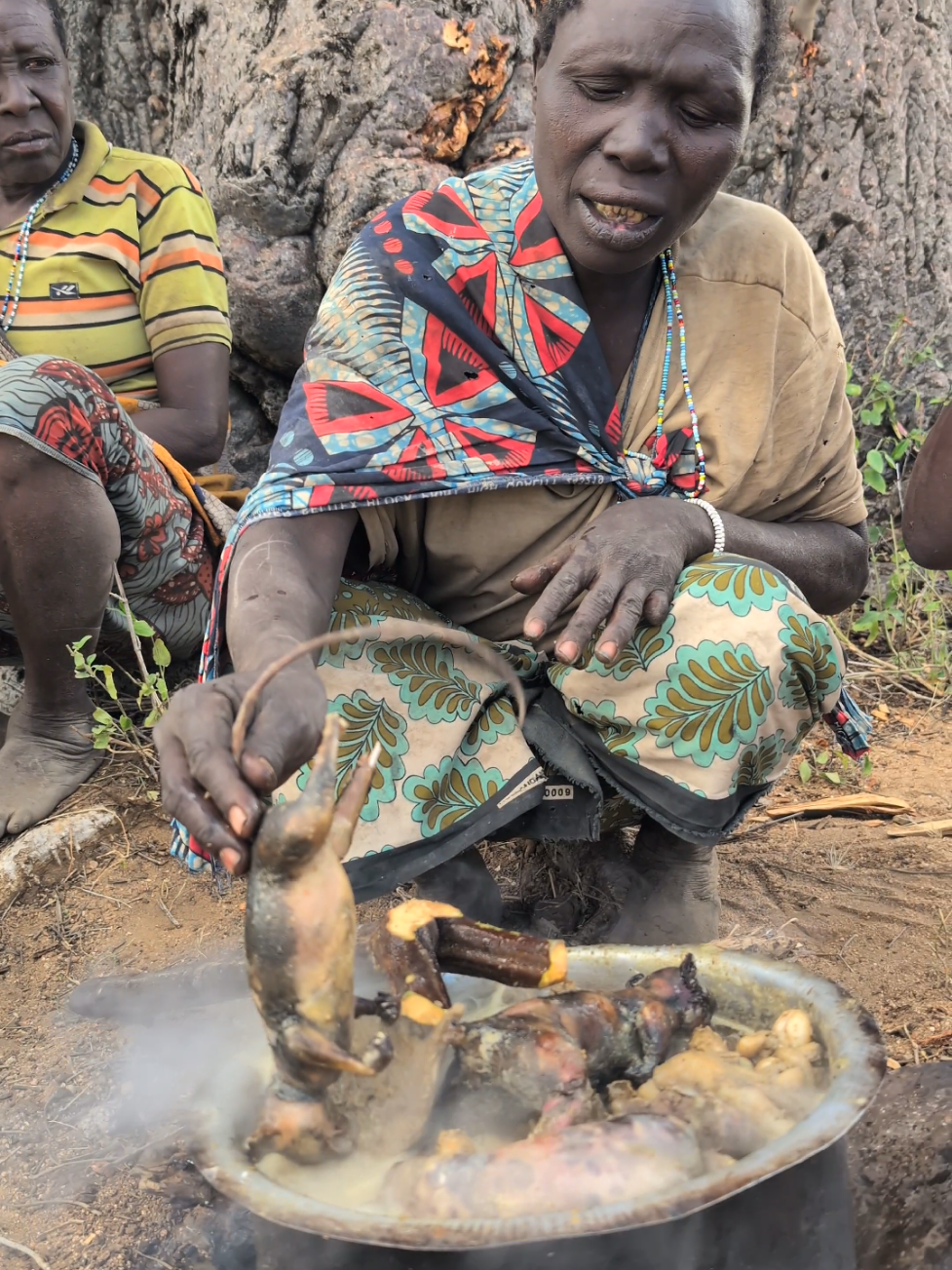A post by @hadzabe1 on TikTok caption: This is So incredible delicious soup cooked by bushmen for Lunch 😋😍😲#cooking #FoodLover #villagelife #usa🇺🇸 #village #fyp #foodlover 