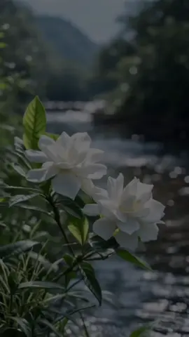 A post by @woo624 on TikTok