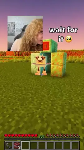 A post by @lucky.maker on TikTok caption: House for Saturnita 🥺#minecraft #cute #italianbrainrot