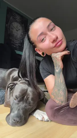 A post by @bellagermany on TikTok caption: Würdest du?
