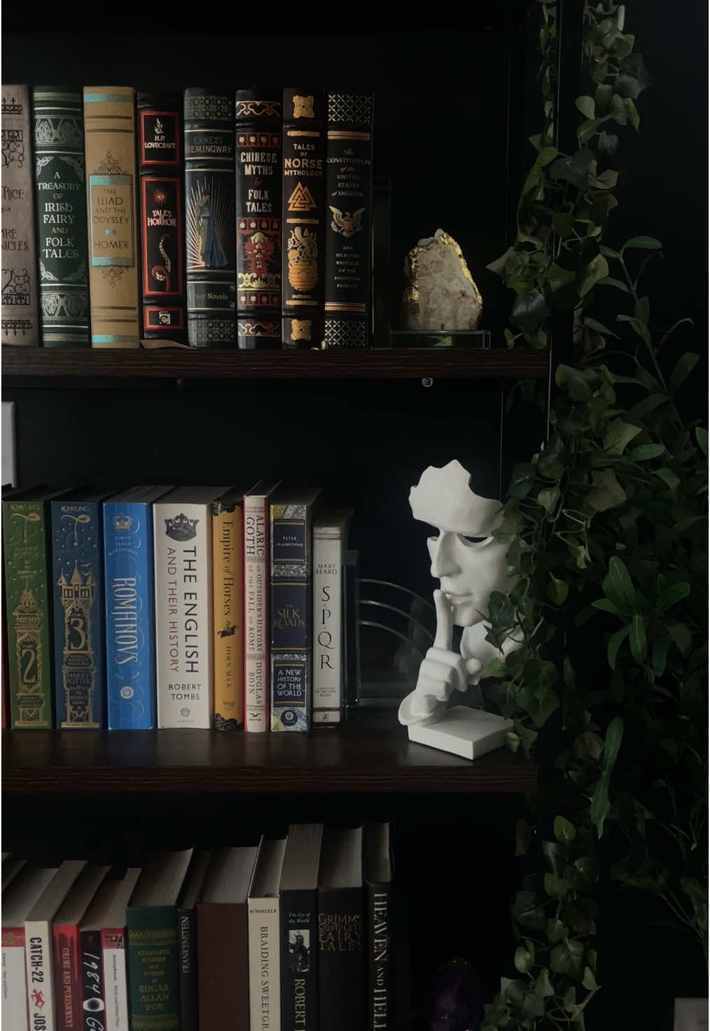 A post by @kcallanott on TikTok caption: all I need is this and a good book 📖 #homedecor  #homeinterior #darkacademia #booklover #gothicdecor #gothichome #readersoftiktok #darkaesthetic #cozyathome #bookworm #darkinterior #blackwalls 