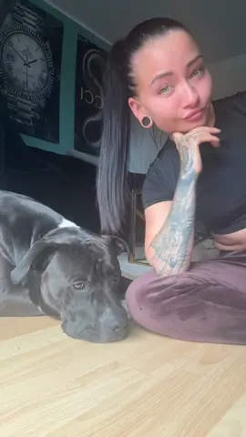 A post by @belladollgermany on TikTok