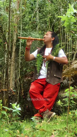 A post by @atipakchristian on TikTok caption: ⛰️ Qapaq Ñan - Atipak Christian 🏞️ #alborada #nativemusic #andeanmusic 