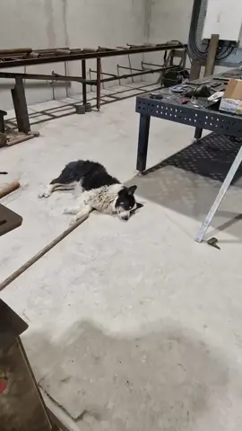 A post by @shorelineengineering on TikTok