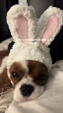 A post by @danyrdzsaa on TikTok caption: Con todo respeto 