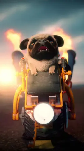 A post by @krazymations on TikTok caption: He's Bad.. #pug #badtothebone #3danimation #krazymations 