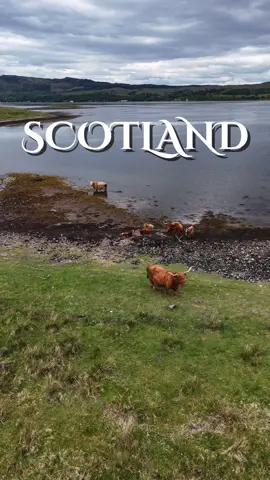 A post by @scotland_uncovered on TikTok caption: Scotland is pure braw 😍🏴󠁧󠁢󠁳󠁣󠁴󠁿 #Scotland 