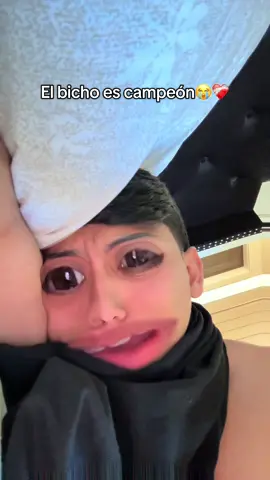 A post by @gael_bloqueado on TikTok caption: Campeones😭 #fyp #viral #foryou #gaelbloqueado #leonguanajuato #racha 