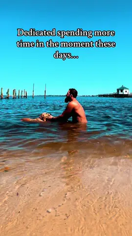 A post by @averagefloridaman on TikTok
