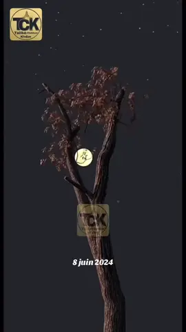A post by @almourtadaoficcelltck on TikTok caption: #cejour-là 