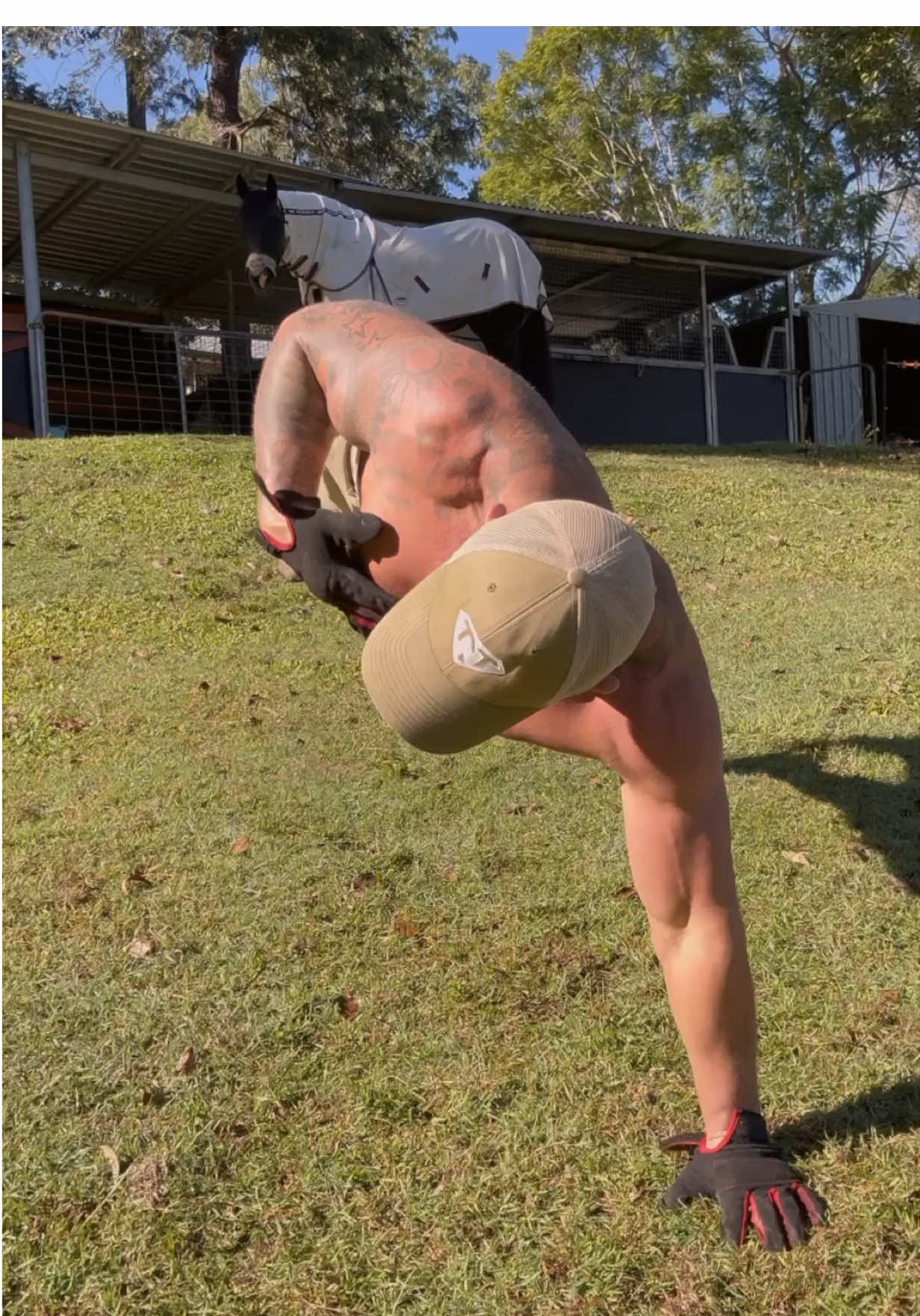 A post by @joelbushby on TikTok caption: Dante isn’t impressed 🤣 #fitness #challenge #mondaymotivation 