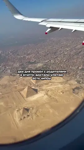 A post by @aviasales on TikTok caption: достали, суки 