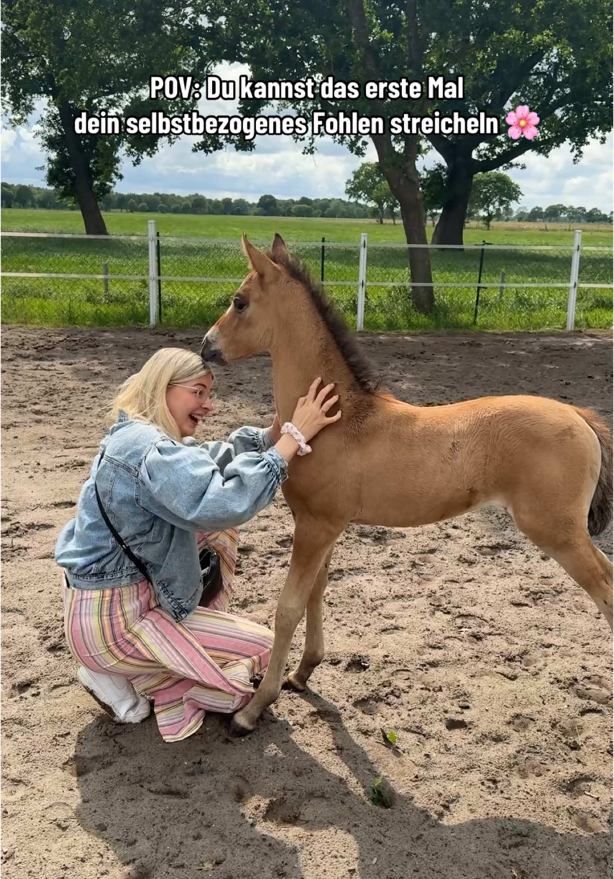 A post by @chaospony_ on TikTok caption: Heute war ein besonderer Moment! 😭 Instagram: Chaospony 🌻 #asmrjanina #fyp #fypage #fürdich #fy #trendiing #viralvideo #vlog #MaestriDelPov #equestrianlife #foryoupage #horsesoftiktok #hauskauf #fohlen #fohlenabc #wildehühner 