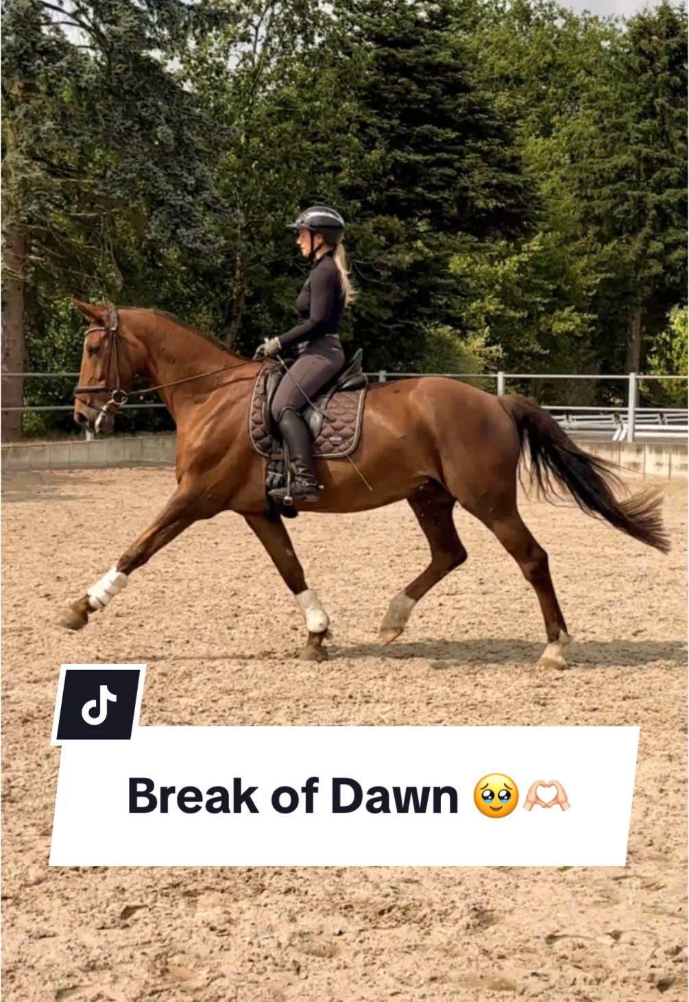A post by @franziundfleur on TikTok caption: Franz’ Mama 🫶🏻 Plötzlich verstehen wir uns 🥹😍 IG: franziskaelea  #dressurpferd #zuchtstute #dressur #dressurreiten #fuchsliebe #pferde #reitsport #franziundfleur #franziskaelea 