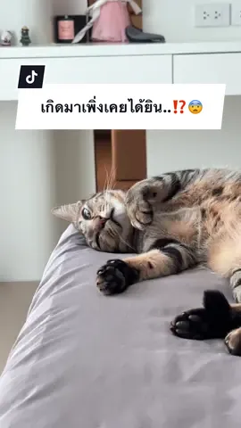 A post by @ployy_chuek on TikTok caption: เกิดมาเพิ่งเคยได้ยิน⁉️😨 #ครอบครัวไข่หวาน #พลอยฉึกๆ #แมร๊เอง #พลอยรักเต็นท์ 