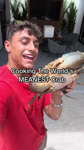 A post by @nick_kratka on TikTok caption: Mud crab 🤤 #crab #seafood #seafoodlover 