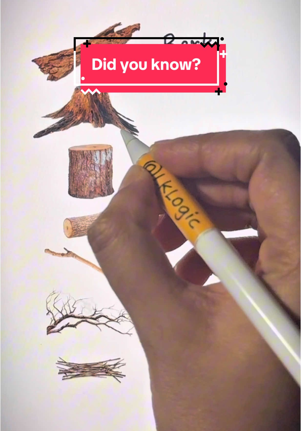 A post by @lklogic on TikTok caption: #learnontiktok #lklogic 