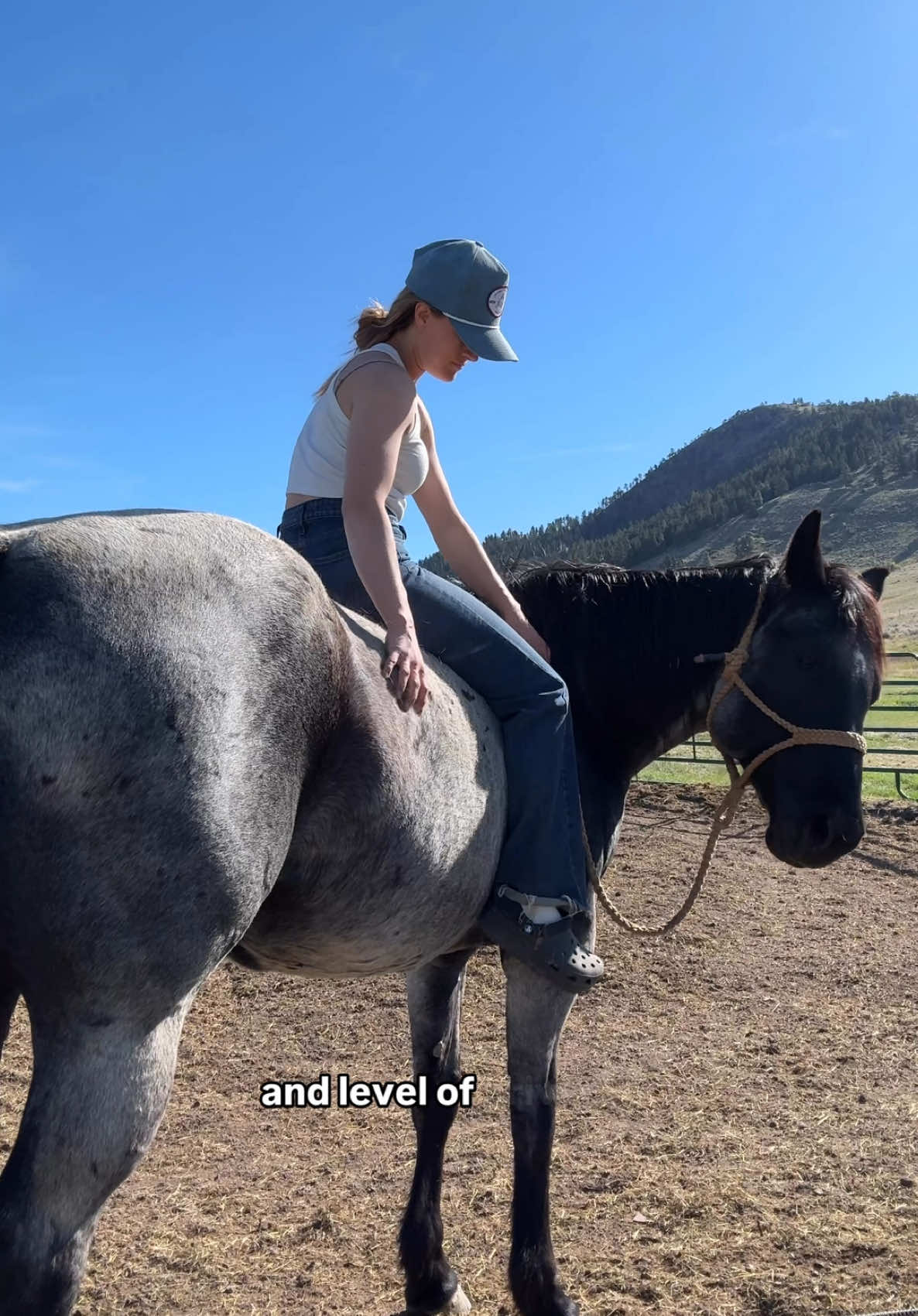 A post by @steadyrein on TikTok caption: Home is where my animals are, and where there’s peace in just being comfortable with who I am. Thanks to @Zillow, finding my dream space became possible. Start your home journey today, beginning with their BuyAbility tool to learn what’s possible for you. 🏡 #ZillowPartner