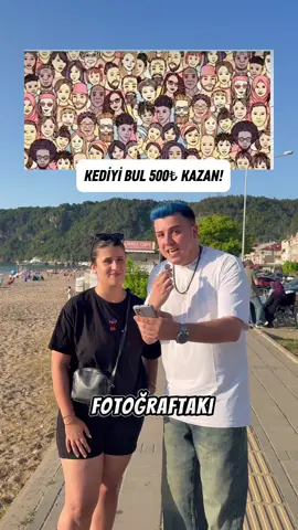 A post by @semihvarol on TikTok caption: Kediyi bulanlar Beğensin ve yorum atsın ❤️😎#svfc #sokakröportajları  