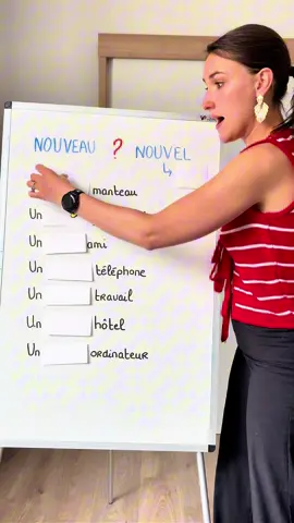 A post by @francesconmarie_ on TikTok caption: Nouveau ou nouvel ? 🇫🇷 #CapCut #clasesdefrances #francia #frances #french #francia #frances #french #Francia #idiomas #francés 