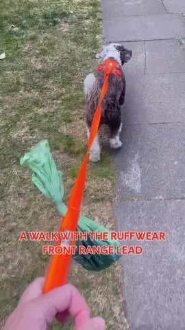 A post by @ruffweardogs on TikTok caption: Can you see why our Front Range harness & leash are the most popular combo? 🧡