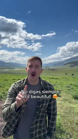 A post by @spencerconoce on TikTok caption: Algunas alternativas para ustedes. 
