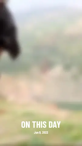 A post by @iam_hrithik_717 on TikTok caption: #onthisday