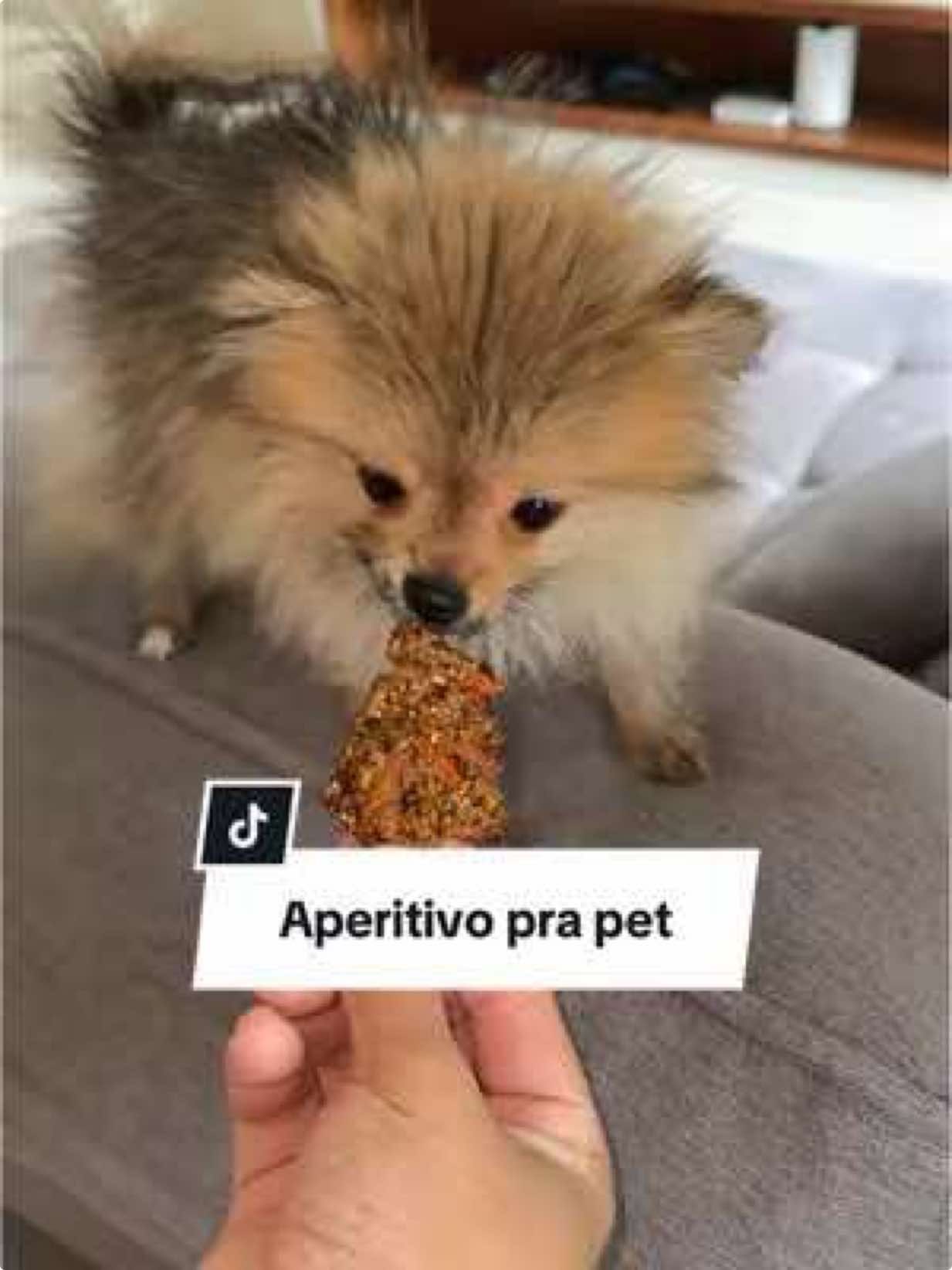 A post by @eloalmeida8 on TikTok caption: Petisco pra pet 