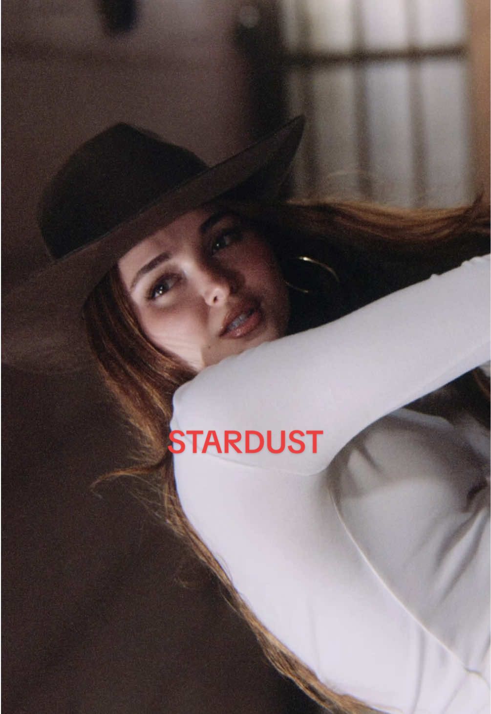 A post by @gabisklar on TikTok caption: STARDUST🐴🌟 pre-save in bio 
