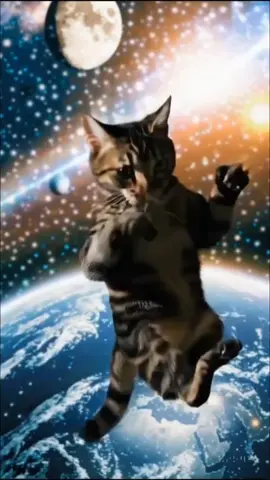 A post by @flashyflashsenkouzanshin on TikTok caption: Cute Cats and MARUTOMO CM OF Waiting for EMILY cat #マルトモ #西武20000系ハリーポッターラッピングトレイン #seibuトレイン #CM #New2025 #cutecat #エミリーの瞳のキラメキが止められないよ #エミリーの猫 #エミリー #エミリーパリへ行く #EMILY #cutecat #猫 #猫ちゃん #猫のいる暮らし #2025年6月6日 #6月6日 #悪魔の日 #nomore #damian #omen #day #ダミアン #オーメン #猫ちゃんの日常 #HUNGEdman #Kitty #imusamaonepiece #imu #meowday #meow Cute Cat EARTH　from SPACE　　and  The earth seen from space looked like a  Dream . with Guardian of Galaxy loves kurtrussell Da SOLDIER　a　Long side Ending Scene plus Behind　post credit　Scene　de Deep IMPACT　&　Armageddon　#Armageddon #deepimpact #アルマゲドン #cuteCat #cat #space #galaxy #gairdiansofthegalaxy #mervel #multiverse #beyonder #SOLDIER #猫ちゃん #猫 #ILOVEYOU #Peace #world 　#junesix #savetheworld #2025年6月9日#69#6月9日#ロックの日 #rockday#2025年6月10日#6月10日#ロト#ロトの日