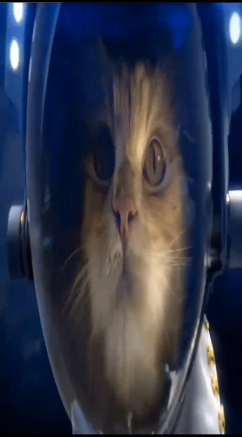 A post by @flashyflashsenkouzanshin on TikTok caption: BEYBLADE Xwith Beautiful  Cute Cats and MARUTOMO CM OF Waiting for EMILY cat loves xg PRISM #マルトモ #CM #New2025 #cutecat #エミリーの瞳のキラメキが止められないよ #エミリーの猫 #エミリー #エミリーパリへ行く #EMILY #cutecat #猫 #猫ちゃん #猫のいる暮らし #2025年6月6日 #6月6日 #悪魔の日 #nomore #damian #omen #day #ダミアン #オーメン #猫ちゃんの日常 #HUNGEdman #Kitty #imusamaonepiece #imu #meowday #meow Cute Cat EARTH　from SPACE　　and  The earth seen from space looked like a  Dream . with Guardian of Galaxy loves kurtrussell Da SOLDIER　a　Long side Ending Scene plus Behind　post credit　Scene　de Deep IMPACT　&　Armageddon　#Armageddon #deepimpact #アルマゲドン #cuteCat #cat #space #galaxy #gairdiansofthegalaxy #mervel #multiverse #beyonder #SOLDIER #猫ちゃん #猫 #ILOVEYOU #Peace #world 　#junesix #savetheworld 