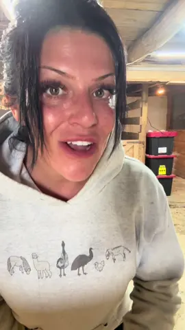 A post by @useless_farm on TikTok caption: Emu or loan shark? She’ll never tell!