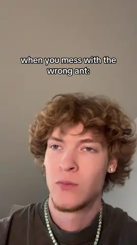 A post by @bradylxix on TikTok caption: shoulda left some crumbs😂 #bradylxix 