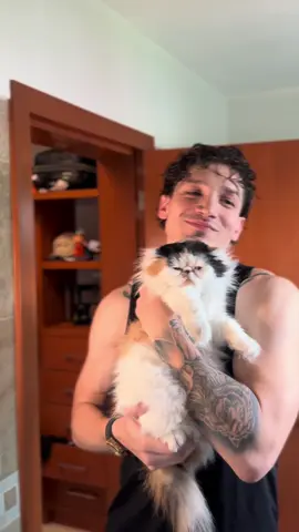 A post by @soyeddieschobert6 on TikTok caption: Soy el papá más feliz con su hija 🤍#cat #kitty 