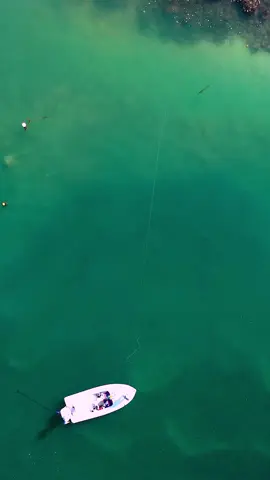A post by @simmsfishing on TikTok caption: At the end of the day, we’re all lucky to have something that makes moments like these so special. #Tarpon #FishItWell #SimmsFishing  🎥: @feather_wick w/ @nonameflylodge  #FlyFishing #TarponFishing #StripSet #HighlightReel #Fishing #FlatsFishing #TarponOnFly #FishTok #FYP 