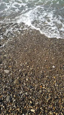 A post by @lilia1103lilia on TikTok