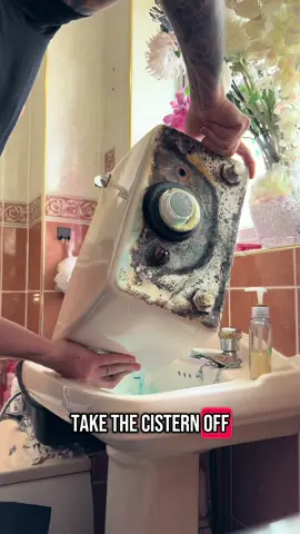 A post by @beaplumbertheysaid on TikTok caption: Toilet repair… #plumber #plumbing #plumbersoftiktok #fyp #foryoupage #boring #easy #highlightoftheday #growupmate #thatsgoodisntit #toilet 