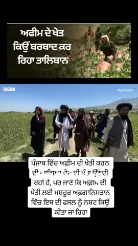 A post by @worldwideknowledgeaj2 on TikTok caption: #onthisday