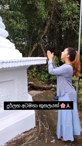 A post by @thrikala_dharani on TikTok caption: පින්බර පොසොන් පෝ දිනක් වේවා 🙏🌸🌸🌸 #topmodelsbythrikaladharani #thrikaladharani #fypage #fyp #fy #fyyyyyyyyyyyyyyyy #fyy #gampahaඅපි🌺 