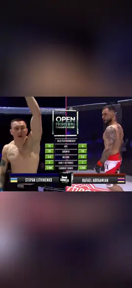A post by @rafabuffalo on TikTok caption: you either win or learn something new, there is no defeat  #mma #sports #armenia #yerevan #rafabuffalo #buffaloteam #respect 