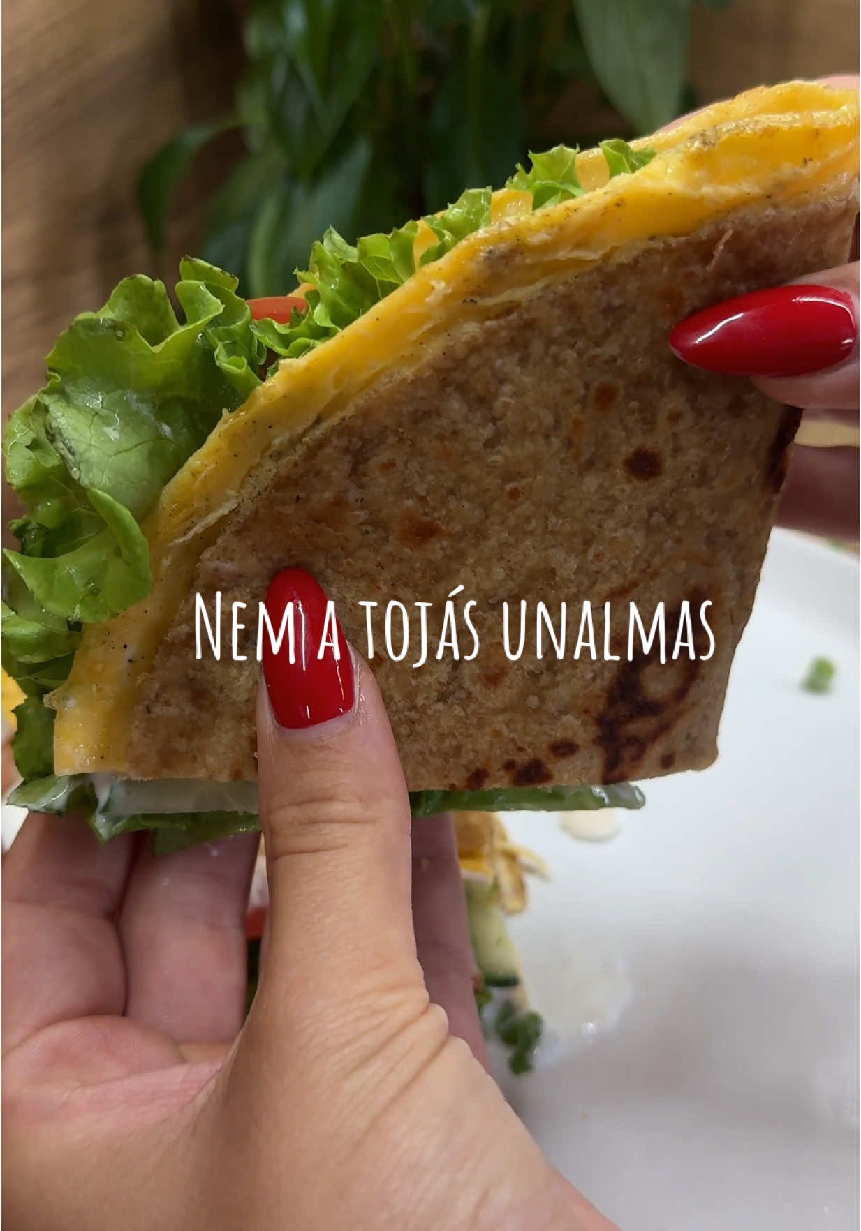 A post by @retegi_ticia on TikTok caption: 4.Rész - Nem a tojás unalmas hanem a szokásaink!🍳🥚🍅  Isteni tojásos wrap!🌮 Hozzávalók: - Wrap - 2 db tojás - só, bors - ízlés szerint zöldségek - natúr joghurt #nematojásunalmas #tojasosreggeli #reggelirecept #egyszerűenfinom #breakfastideas #tojasrecept #tojasoswrap #wrap 