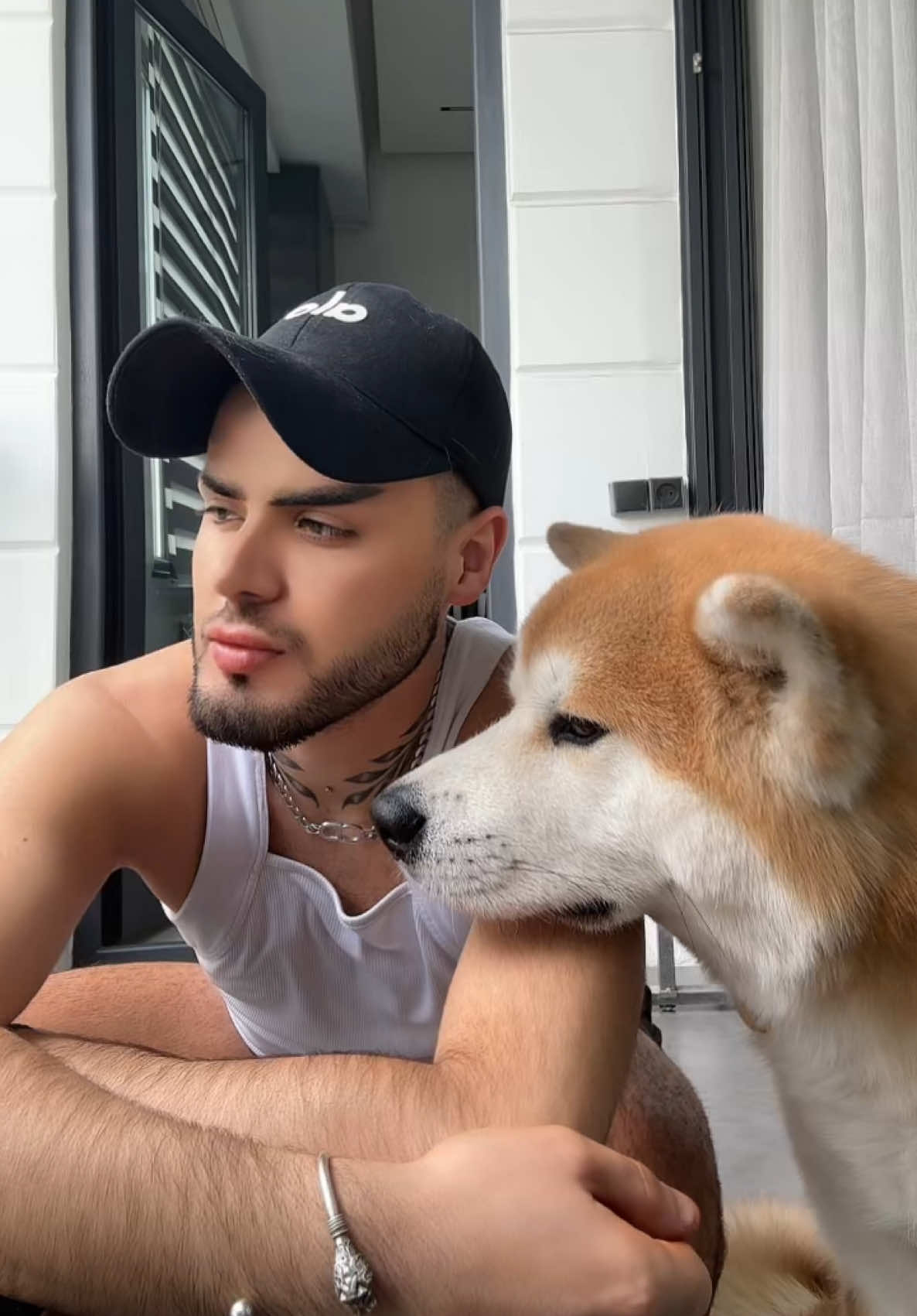 A post by @alex____alexis on TikTok caption: 😂#alexalexis #հաչիկո #akita #akitainu #хатико 