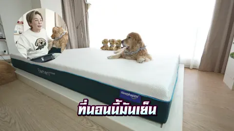 A post by @japanfriends on TikTok caption: ตั้งกล้องดูว่านอนกับหมาเป็นยังงัยมั่ง 