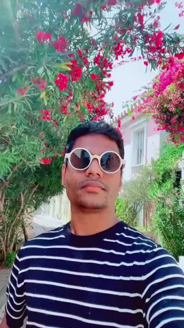 A post by @kalbi7 on TikTok