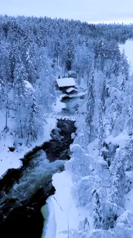 A post by @sehirdeyiz on TikTok caption: Beni buraya ışınlayın çabukkk 🥹 📍Finlandiya, Lapland 👫🏼Peki siz kiminle birlikte gitmek isterdiniz? Yoruma etiketleyin ve kaydetmeyi unutmayın 🤗 Daha fazla yerler keşfetmek için bizi takipte kalın 🤗  🎥@brendinkelly