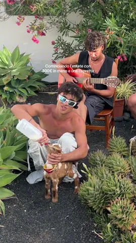 A post by @z4_pucho on TikTok caption: @z4_Freddy vi augura buona fortuna per gli esami