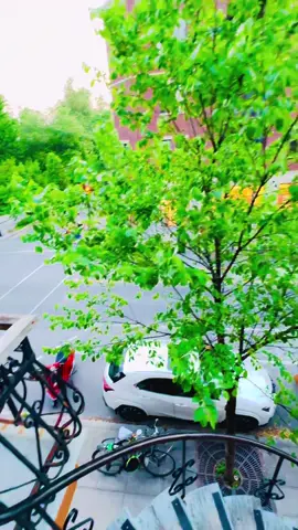A post by @ on TikTok caption: #canada #foruou 