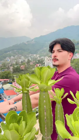 A post by @avishek_khadka on TikTok caption: Maya başlaki ❤️ : . #keepsupporting #nepalitiktok #trending #nepalisong #avishek_khadka #aayoush_thakuri #aayu_69 #onemillionaudition #aayuujanta #aayujehjanta #goviral #dubai🇦🇪 #foryoupage #fypシ゚viral🖤tiktok☆♡🦋myvideo 